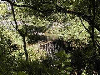 ���h�_��