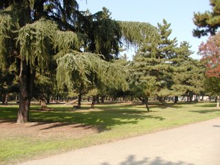 �l������