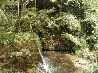 �M�D�̐���