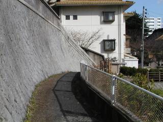 �����͓�