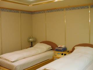 ���ʎ��i�Q���j