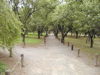 ��y���^�~��