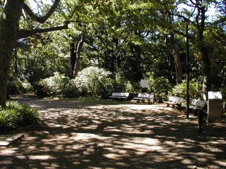 �t�����X�R�n��