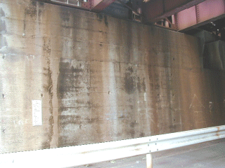 ����̃K�[�h���̒e��