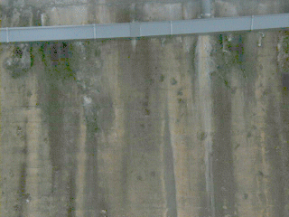 ��F�K�[�h���̒e��